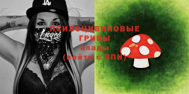 mega вход  Серпухов  Галлюциногенные грибы Magic Shrooms 